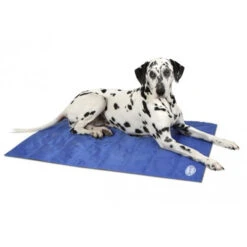Scruffs Cooling Mat 11 Scruffs Cooling Mat -Premium-Tierbedarfsgeschäft product scruffs cooling mat none 4 1472200004 76951