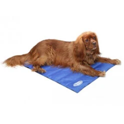 Scruffs Cooling Mat 10 Scruffs Cooling Mat -Premium-Tierbedarfsgeschäft product scruffs cooling mat none 4 1472200005 76954