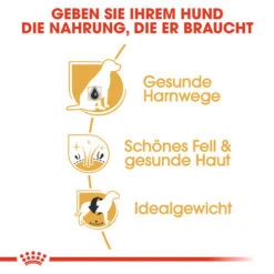 Royal Canin Bichon Frisé Adult - Hundefutter 11 Royal Canin Bichon Frisé Adult - Hundefutter -Premium-Tierbedarfsgeschäft royal canin bichon fris adult hondenvoer 137371 0500 none