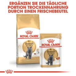 Royal Canin British Shorthair Adult - Katzenfutter -Premium-Tierbedarfsgeschäft royal canin british shorthair adult kattenvoer 137551 0500 none