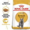 Royal Canin British Shorthair Adult - Katzenfutter 2 Royal Canin British Shorthair Adult - Katzenfutter -Premium-Tierbedarfsgeschäft royal canin british shorthair adult kattenvoer 137578 0500 none