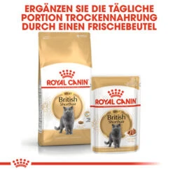 Royal Canin British Shorthair Adult Wet - Katzenfutter 13 Royal Canin British Shorthair Adult Wet - Katzenfutter -Premium-Tierbedarfsgeschäft royal canin british shorthair adult wet kattenvoer 125510 0500 none