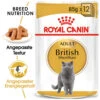 Royal Canin British Shorthair Adult Wet - Katzenfutter -Premium-Tierbedarfsgeschäft royal canin british shorthair adult wet kattenvoer 125534 0500 none