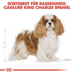 Royal Canin Cavalier King Charles Adult - Hundefutter 13 Royal Canin Cavalier King Charles Adult - Hundefutter -Premium-Tierbedarfsgeschäft royal canin cavalier king charles adult hondenvoer 137857 0500 none