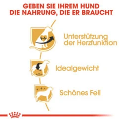 Royal Canin Cavalier King Charles Adult - Hundefutter 11 Royal Canin Cavalier King Charles Adult - Hundefutter -Premium-Tierbedarfsgeschäft royal canin cavalier king charles adult hondenvoer 137869 0500 none