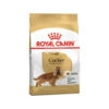 Royal Canin Cocker Adult - Hundefutter 1 Royal Canin Cocker Adult - Hundefutter -Premium-Tierbedarfsgeschäft royal canin cocker adult hondenvoer 188079 0500 none