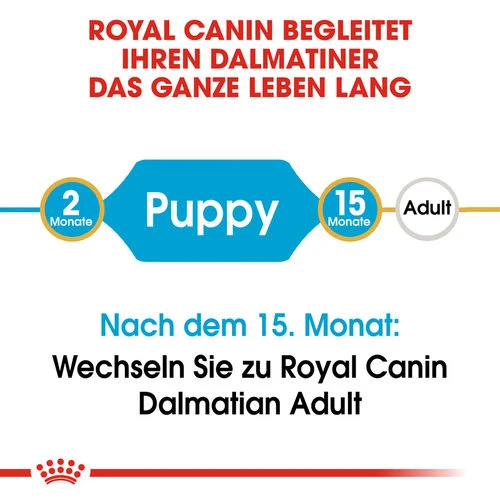 Royal Canin Dalmatian Puppy - Hundefutter 7 Royal Canin Dalmatian Puppy - Hundefutter – Bild 5