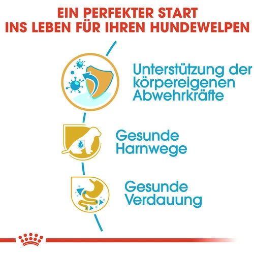 Royal Canin Dalmatian Puppy - Hundefutter 4 Royal Canin Dalmatian Puppy - Hundefutter – Bild 2