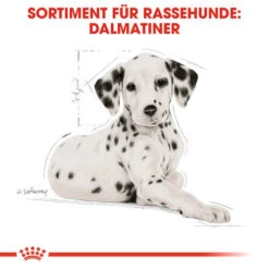 Royal Canin Dalmatian Puppy - Hundefutter 13 Royal Canin Dalmatian Puppy - Hundefutter -Premium-Tierbedarfsgeschäft royal canin dalmatian puppy hondenvoer 138589 0500 none