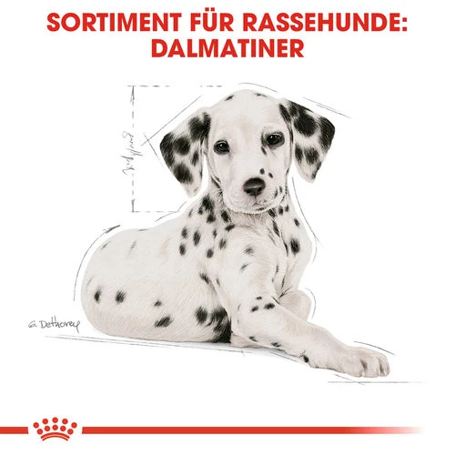 Royal Canin Dalmatian Puppy - Hundefutter 6 Royal Canin Dalmatian Puppy - Hundefutter – Bild 4