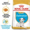 Royal Canin Dalmatian Puppy - Hundefutter 1 Royal Canin Dalmatian Puppy - Hundefutter -Premium-Tierbedarfsgeschäft royal canin dalmatian puppy hondenvoer 140534 0500 none