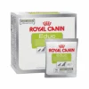 Royal Canin Educ Hund 2 Royal Canin Educ Hund -Premium-Tierbedarfsgeschäft royal canin educ hond 215813 0500 none