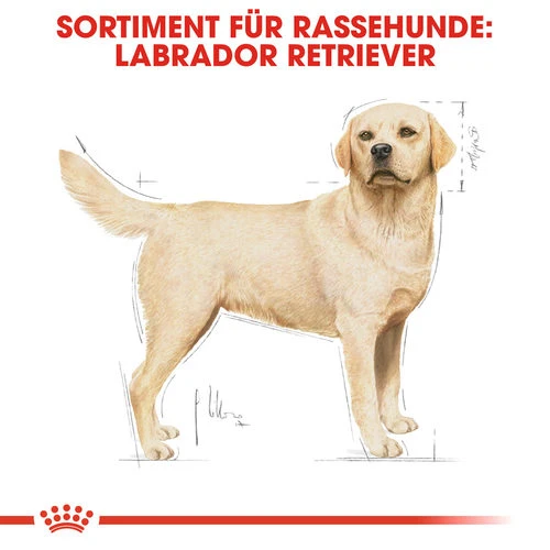 Royal Canin Labrador Retriever Adult - Hundefutter 6 Royal Canin Labrador Retriever Adult - Hundefutter – Bild 4
