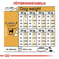 Royal Canin Labrador Retriever Adult - Hundefutter 14 Royal Canin Labrador Retriever Adult - Hundefutter -Premium-Tierbedarfsgeschäft royal canin labrador retriever adult hondenvoer 139387 0500 none