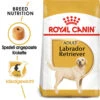 Royal Canin Labrador Retriever Adult - Hundefutter -Premium-Tierbedarfsgeschäft royal canin labrador retriever adult hondenvoer 140606 0500 none