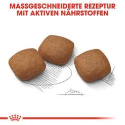 Royal Canin Maxi Joint Care - Hundefutter -Premium-Tierbedarfsgeschäft royal canin maxi joint care hondenvoer 132551 0500 none