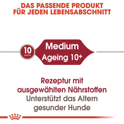 Royal Canin Medium Ageing 10+ Wet - Hundefutter 7 Royal Canin Medium Ageing 10+ Wet - Hundefutter – Bild 5