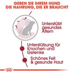 Royal Canin Medium Ageing 10+ Wet - Hundefutter 15 Royal Canin Medium Ageing 10+ Wet - Hundefutter -Premium-Tierbedarfsgeschäft royal canin medium ageing 10 wet hondenvoer 129197 0500 none