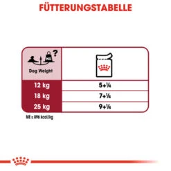 Royal Canin Medium Ageing 10+ Wet - Hundefutter 21 Royal Canin Medium Ageing 10+ Wet - Hundefutter -Premium-Tierbedarfsgeschäft royal canin medium ageing 10 wet hondenvoer 129221 0500 none