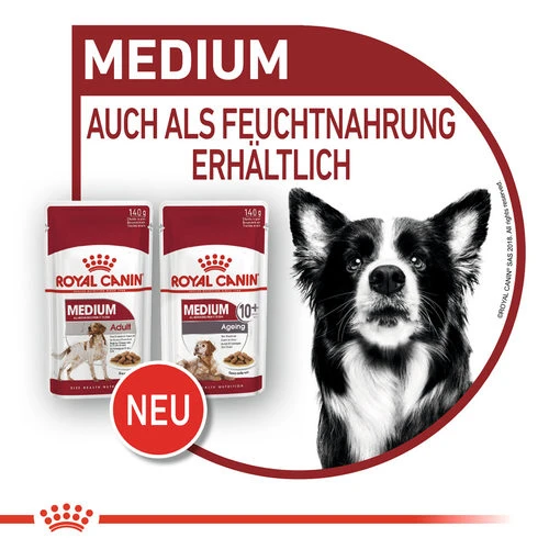 Royal Canin Medium Ageing 10+ Wet - Hundefutter 10 Royal Canin Medium Ageing 10+ Wet - Hundefutter – Bild 8