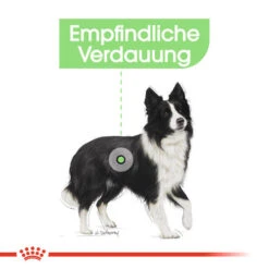 Royal Canin Medium Digestive Care - Hundefutter 13 Royal Canin Medium Digestive Care - Hundefutter -Premium-Tierbedarfsgeschäft royal canin medium digestive care hondenvoer 132788 0500 none