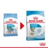 Royal Canin Mini Starter Mother & Babydog - Hundefutter 1 Royal Canin Mini Starter Mother & Babydog - Hundefutter -Premium-Tierbedarfsgeschäft royal canin mini starter mother babydog hondenvoer 207005 0500 none
