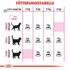 Royal Canin Savour Exigent - Katzenfutter 19 Royal Canin Savour Exigent - Katzenfutter -Premium-Tierbedarfsgeschäft royal canin savour exigent kattenvoer 127580 0500 none