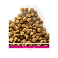 SANIMED Anti Struvite Dog -Premium-Tierbedarfsgeschäft sanimed anti struvite dog 158504 0500 none