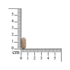 Monoderma Dry Hunde 7 Monoderma Dry Hunde -Premium-Tierbedarfsgeschäft sensipharm monoderma dry hond 174694 0500 none