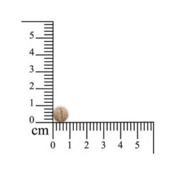 Sensipharm Sneeze Aid Katze 7 Sensipharm Sneeze Aid Katze -Premium-Tierbedarfsgeschäft sensipharm sneeze aid kat 174685 0500 none