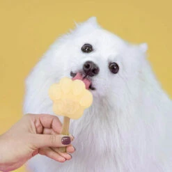 Smoofl Hundeeis Starter Kit -Premium-Tierbedarfsgeschäft smoofl dog ice starter kit 195155 0500 none