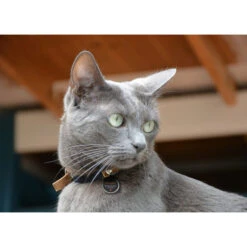 Spotted! Pro Dog & Cat -Premium-Tierbedarfsgeschäft spotted pro dog cat 166915 0500 none