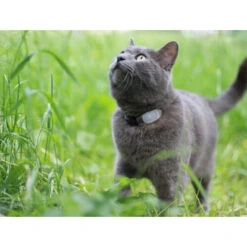 Tabcat Cat Tracker -Premium-Tierbedarfsgeschäft tabcat cat tracker 217030 0500 none
