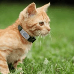 Tabcat Cat Tracker -Premium-Tierbedarfsgeschäft tabcat cat tracker 217613 0500 none