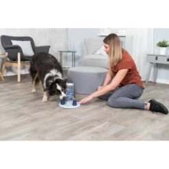 Trixie Dog Activity Gambling Tower 14 Trixie Dog Activity Gambling Tower -Premium-Tierbedarfsgeschäft trixie dog activity gambling tower 179852 0500 none