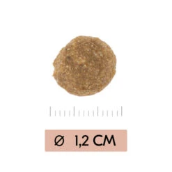 Vetality Gastrointestinal Low Fat - Hundefutter -Premium-Tierbedarfsgeschäft vetality gastrointestinal low fat hondenvoer 195467 0500 none