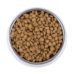 Vetality Skin Support - Hundefutter 9 Vetality Skin Support - Hundefutter -Premium-Tierbedarfsgeschäft vetality skin support hondenvoer 195221 0500 none