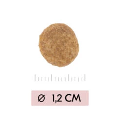 Vetality Skin Support - Hundefutter 8 Vetality Skin Support - Hundefutter -Premium-Tierbedarfsgeschäft vetality skin support hondenvoer 195452 0500 none