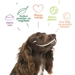 Yarrah - Hundefutter In Soße Vega Mit Hagebutten Bio 10 Yarrah - Hundefutter In Soße Vega Mit Hagebutten Bio -Premium-Tierbedarfsgeschäft yarrah bio natvoer hond kuipje chunks vega 200843 0500 none