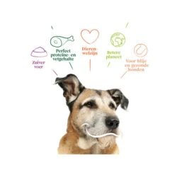 Yarrah - Trockenfutter Senior Mit Huhn, Fisch Und Kräutern Bio 9 Yarrah - Trockenfutter Senior Mit Huhn, Fisch Und Kräutern Bio -Premium-Tierbedarfsgeschäft yarrah droogvoer hond senior bio 201146 0500 none