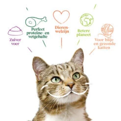 Yarrah - Katzenfutter Paté Rind Mit Chicorée Bio -Premium-Tierbedarfsgeschäft yarrah pat kat kuipje met rund bio 201059 0500 none