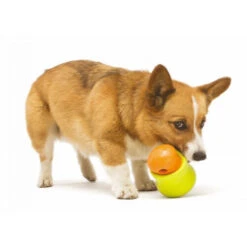 Zogoflex Toppl - Treat Toy -Premium-Tierbedarfsgeschäft zogoflex toppl treat toy 219464 0500 none